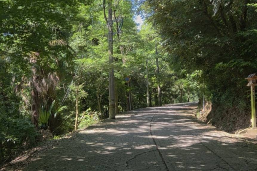 風が心地よい足羽山の道中